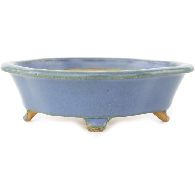 Maceta para bonsái azul Mokko de Hattori - 163 x 140 x 40 mm