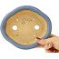 Pot à bonsaï bleu Mokko par Hattori - 163 x 140 x 40 mm
