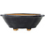 Pot à bonsaï Mokko bleu foncé par Hattori - 135 x 115 x 47 mm