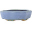 Vaso bonsai Mokko blu di Hattori - 142 x 118 x 43 mm