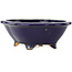 Pot à bonsaï Mokko bleu foncé par Hattori - 135 x 115 x 47 mm