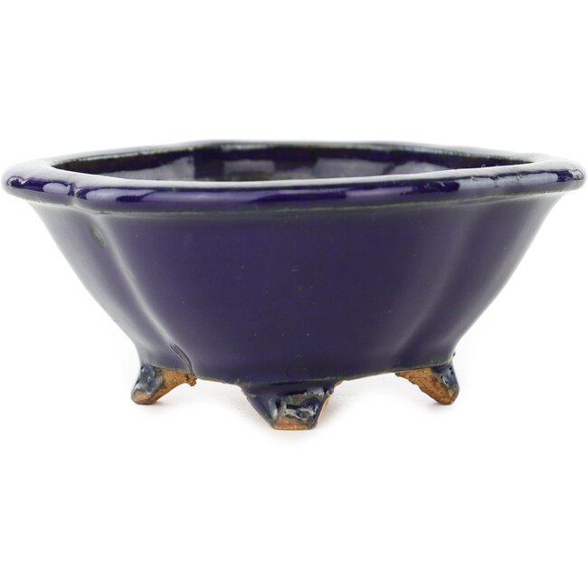 Maceta para bonsái azul oscuro Mokko de Hattori - 135 x 115 x 47 mm