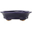 Ovaler dunkelblauer Bonsai-Topf von Hattori - 127 x 112 x 37 mm