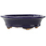 Vaso bonsai ovale blu scuro di Hattori - 127 x 112 x 37 mm