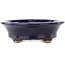 Ovaler dunkelblauer Bonsai-Topf von Hattori - 127 x 112 x 37 mm