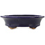 Vaso bonsai ovale blu scuro di Hattori - 127 x 112 x 37 mm