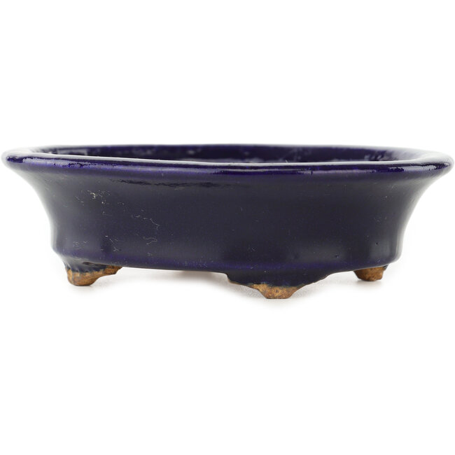Oval dark blue bonsai pot by Hattori - 127 x 112 x 37 mm