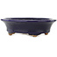 Ovaler dunkelblauer Bonsai-Topf von Hattori - 127 x 112 x 37 mm