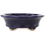 Vaso bonsai ovale blu scuro di Hattori - 127 x 112 x 37 mm