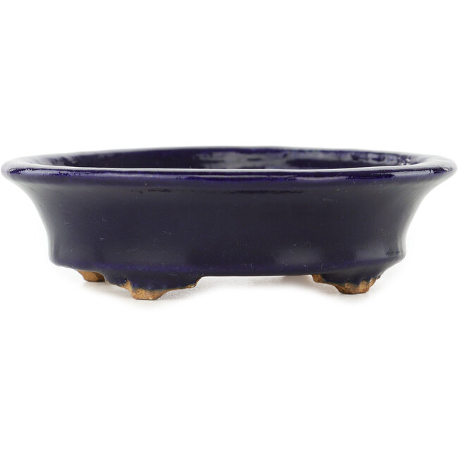 Ovaler dunkelblauer Bonsai-Topf von Hattori - 127 x 112 x 37 mm