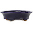 Ovaler dunkelblauer Bonsai-Topf von Hattori - 127 x 112 x 37 mm