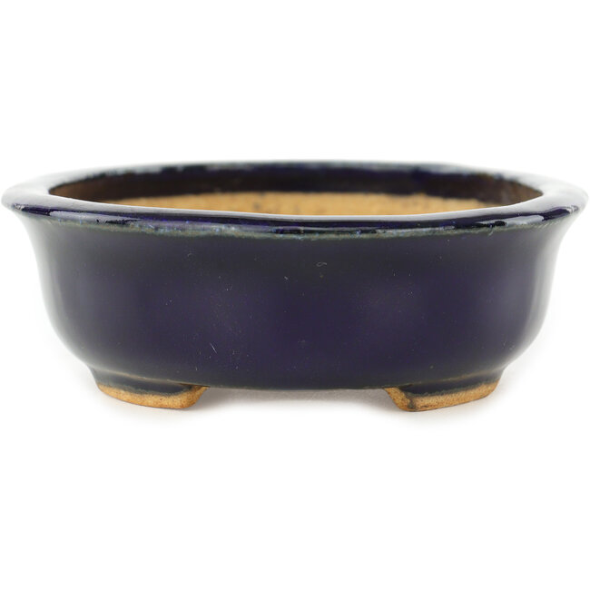 Maceta ovalada para bonsái de color azul oscuro de Hattori - 142 x 110 x 35 mm