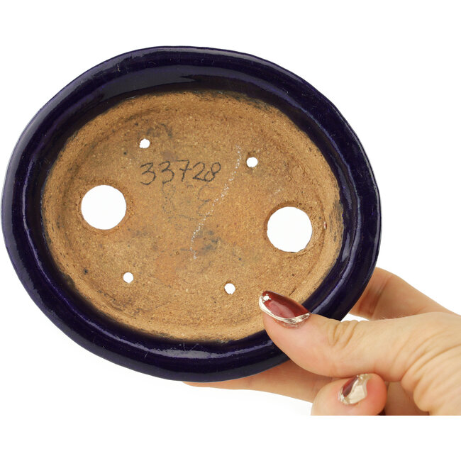Oval dark blue bonsai pot by Hattori - 127 x 112 x 37 mm