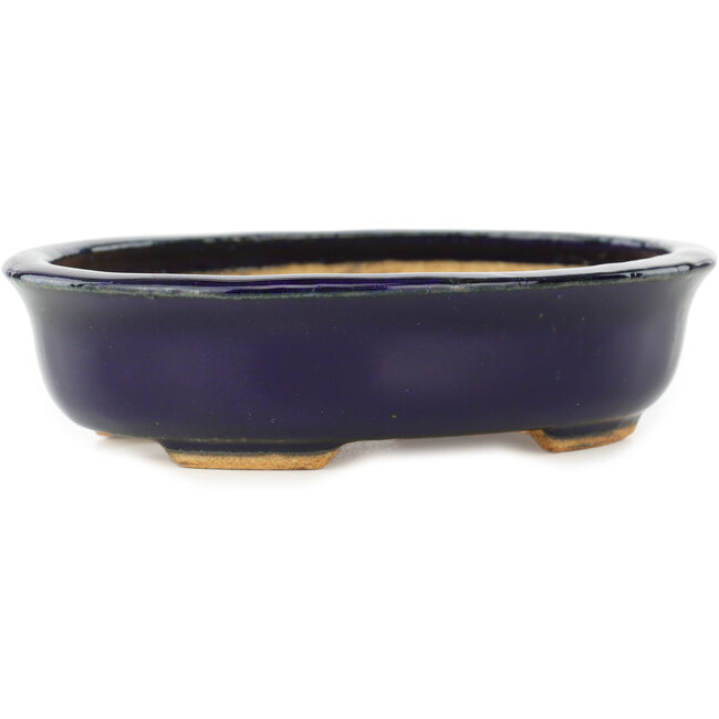 Oval dark blue bonsai pot by Hattori - 142 x 110 x 35 mm