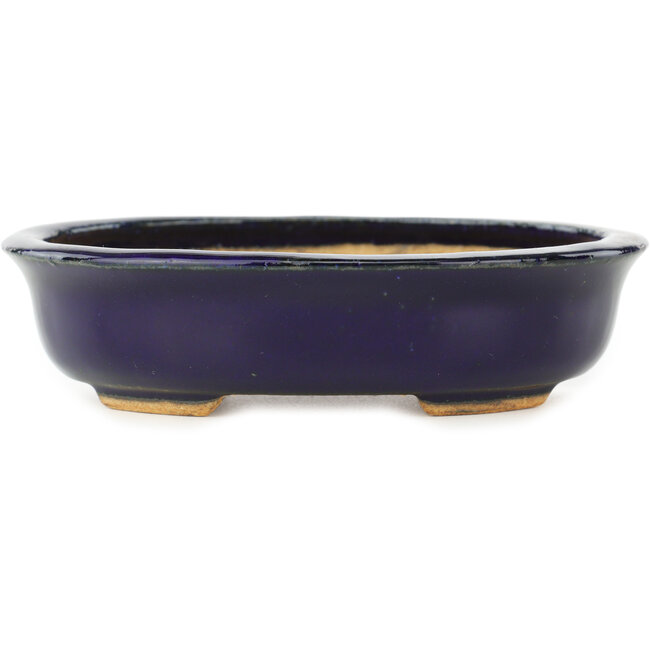 Maceta ovalada para bonsái de color azul oscuro de Hattori - 142 x 110 x 35 mm