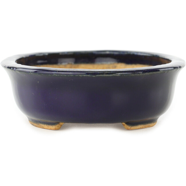 Pot à bonsaï ovale bleu foncé de Hattori - 142 x 110 x 35 mm