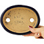 Pot à bonsaï ovale bleu foncé de Hattori - 142 x 110 x 35 mm