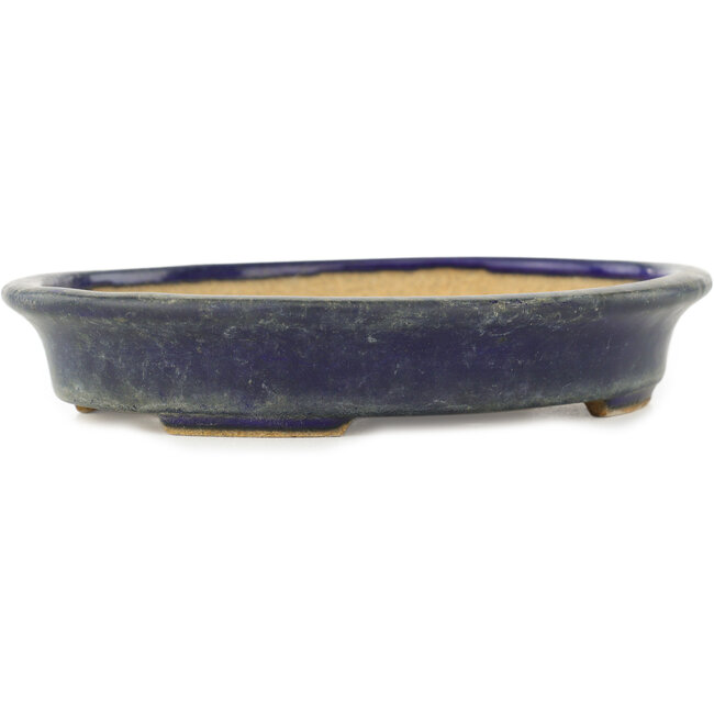 Oval dark blue bonsai pot by Hattori - 160 x 125 x 30 mm