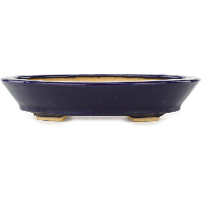 Oval dark blue bonsai pot by Hattori - 167 x 130 x 38 mm
