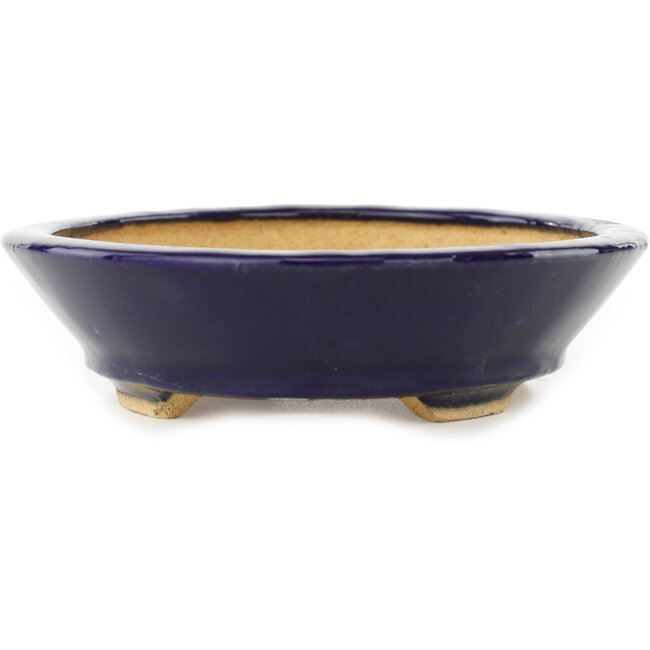 Pot à bonsaï ovale bleu foncé de Hattori - 167 x 130 x 38 mm