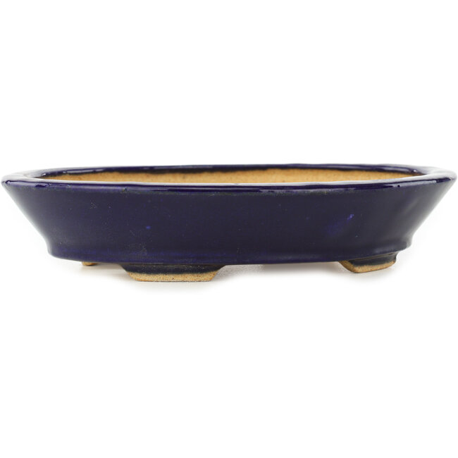 Oval dark blue bonsai pot by Hattori - 167 x 130 x 38 mm