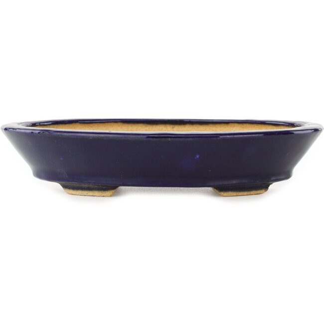 Pot à bonsaï ovale bleu foncé de Hattori - 167 x 130 x 38 mm