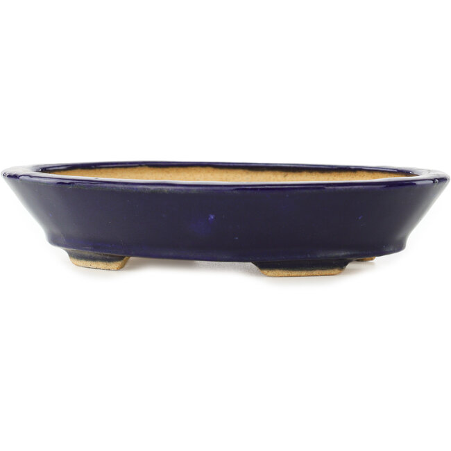 Oval dark blue bonsai pot by Hattori - 167 x 130 x 38 mm