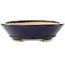 Oval dark blue bonsai pot by Hattori - 167 x 130 x 38 mm