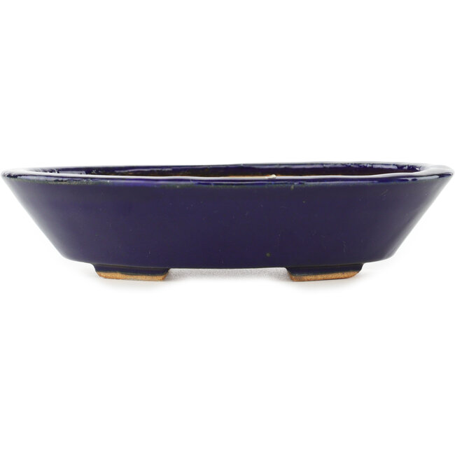 Oval dark blue bonsai pot by Hattori - 165 x 130 x 40 mm