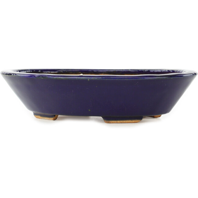 Pot à bonsaï ovale bleu foncé de Hattori - 165 x 130 x 40 mm