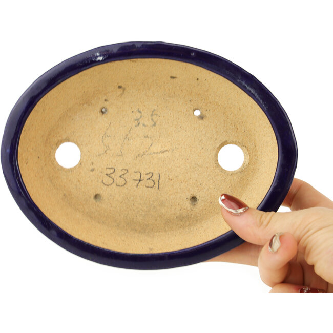 Maceta ovalada para bonsái de color azul oscuro de Hattori - 167 x 130 x 38 mm
