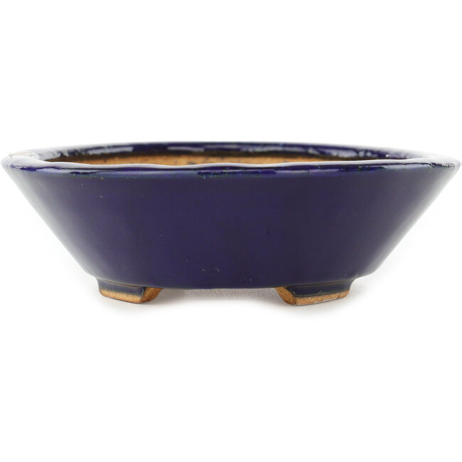 Maceta ovalada para bonsái de color azul oscuro de Hattori - 165 x 130 x 40 mm