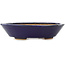 Pot à bonsaï ovale bleu foncé de Hattori - 165 x 130 x 40 mm