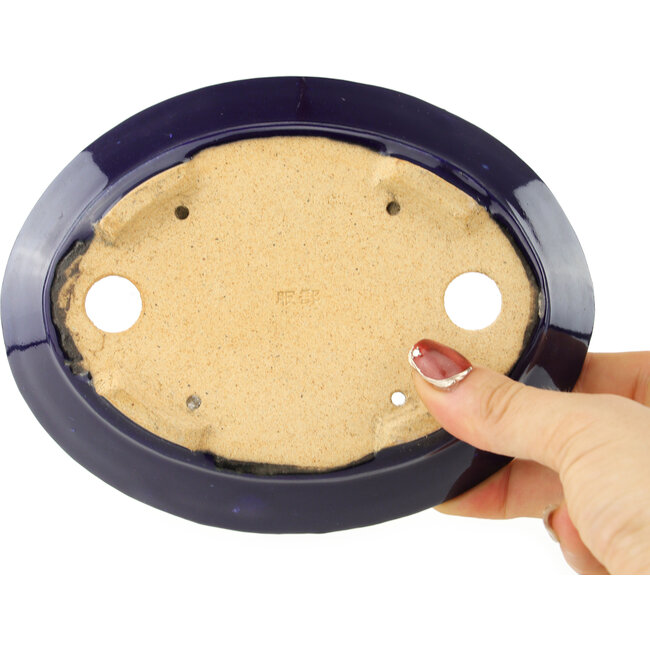 Pot à bonsaï ovale bleu foncé de Hattori - 167 x 130 x 38 mm