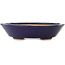 Pot à bonsaï ovale bleu foncé de Hattori - 165 x 130 x 40 mm