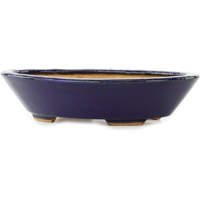 Oval dark blue bonsai pot by Hattori - 165 x 130 x 40 mm