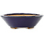 Oval dark blue bonsai pot by Hattori - 165 x 130 x 40 mm