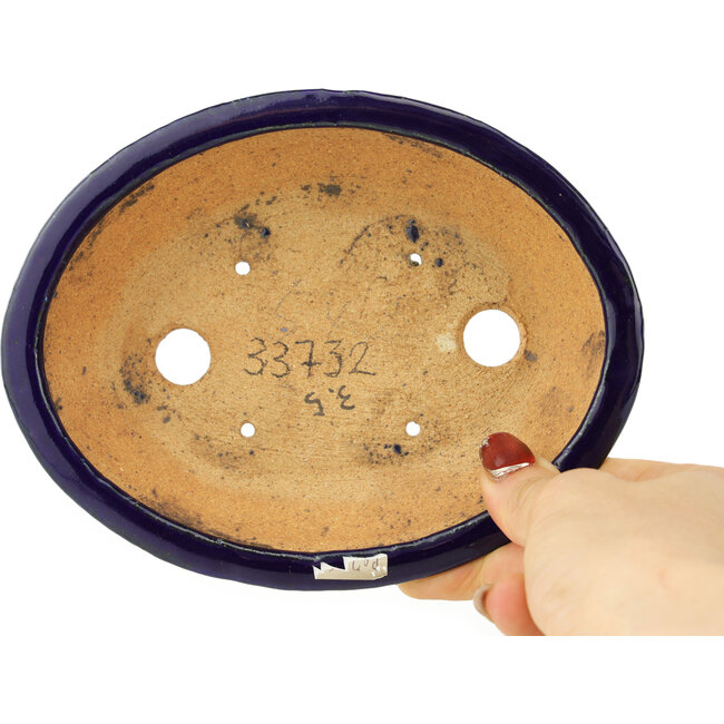Maceta ovalada para bonsái de color azul oscuro de Hattori - 165 x 130 x 40 mm