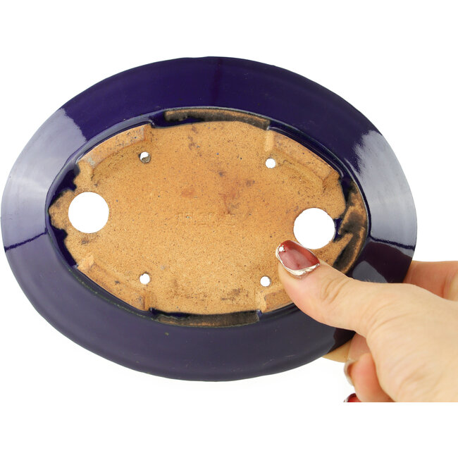 Vaso bonsai ovale blu scuro di Hattori - 165 x 130 x 40 mm