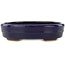 Maceta ovalada para bonsái de color azul oscuro de Hattori - 140 x 110 x 37 mm
