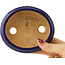 Oval dark blue bonsai pot by Hattori - 120 x 105 x 45 mm