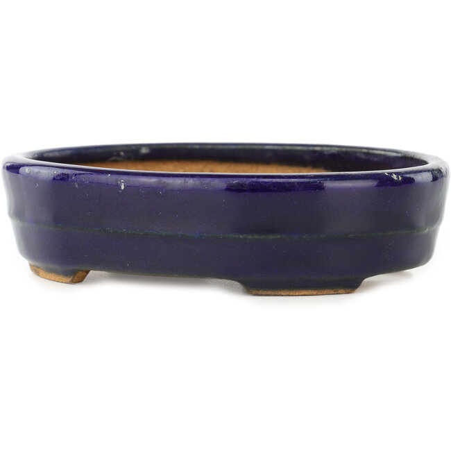 Maceta ovalada para bonsái de color azul oscuro de Hattori - 140 x 110 x 37 mm