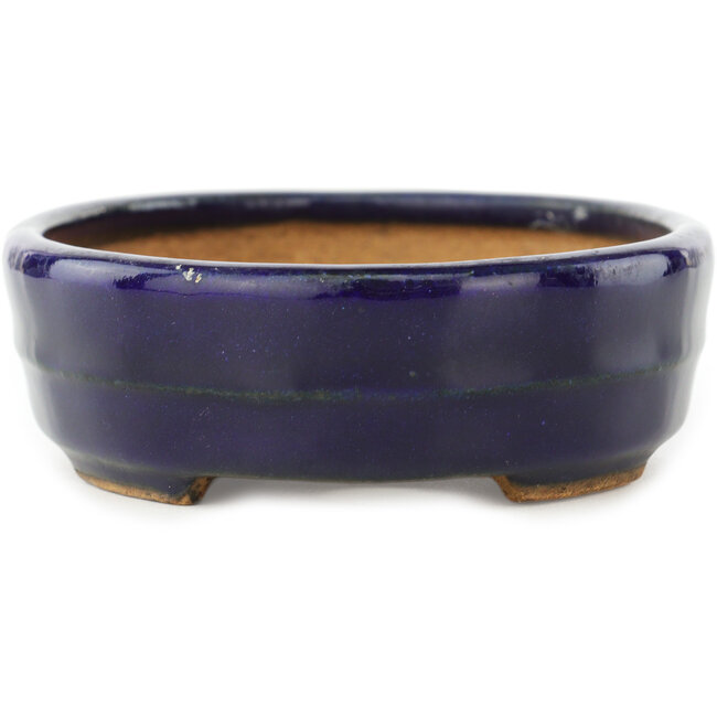 Pot à bonsaï ovale bleu foncé de Hattori - 140 x 110 x 37 mm