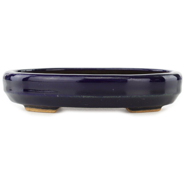 Oval dark blue bonsai pot by Hattori - 167 x 130 x 35 mm
