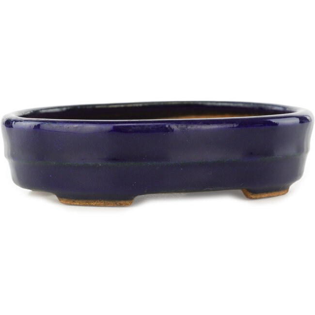 Ovale donkerblauwe bonsaipot van Hattori - 140 x 110 x 37 mm