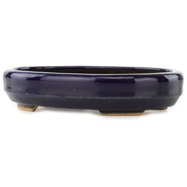 Oval dark blue bonsai pot by Hattori - 167 x 130 x 35 mm