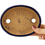 Pot à bonsaï ovale bleu foncé de Hattori - 140 x 110 x 37 mm