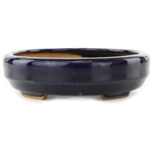 Maceta ovalada para bonsái de color azul oscuro de Hattori - 167 x 130 x 35 mm