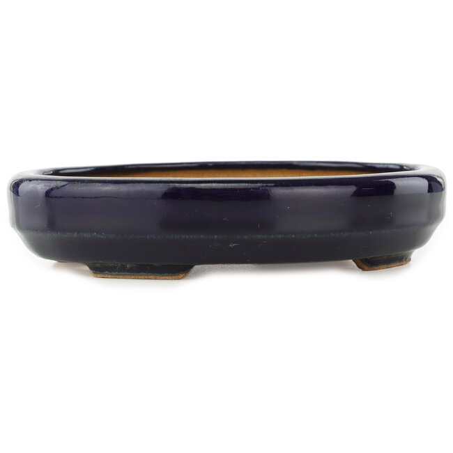 Maceta ovalada para bonsái de color azul oscuro de Hattori - 167 x 130 x 35 mm