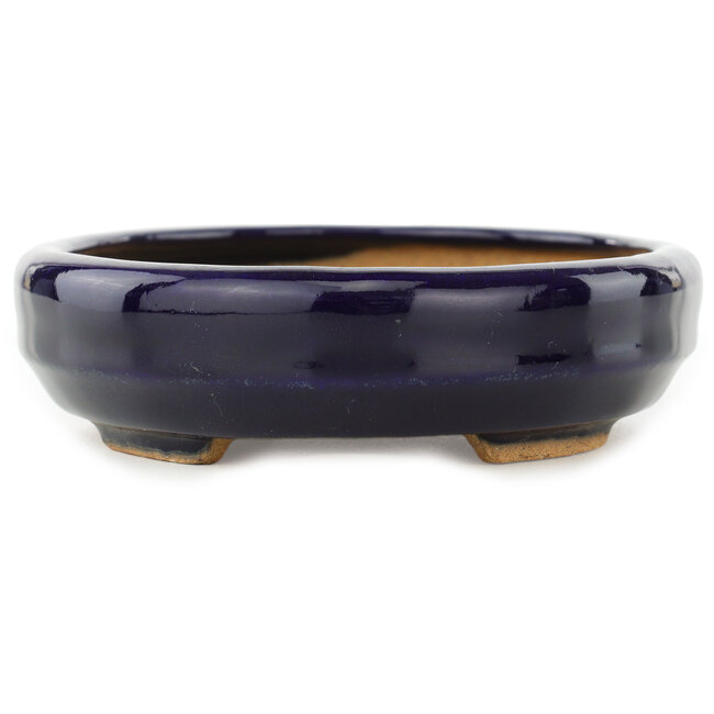 Maceta ovalada para bonsái de color azul oscuro de Hattori - 167 x 130 x 35 mm